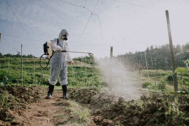 Best Best Pest Control Companies  in St James, MN