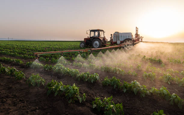 Best Commercial Pest Control Services  in St James, MN