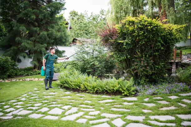 Best Emergency Pest Control  in St James, MN