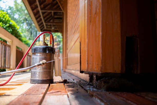 Best Pest Control Treatment  in St James, MN