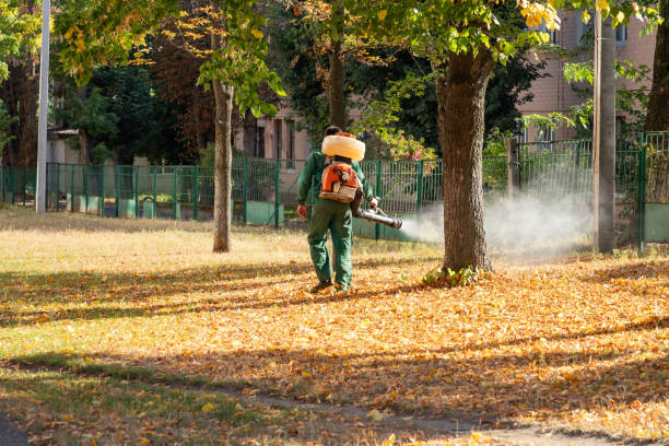 Best Bird Control  in St James, MN