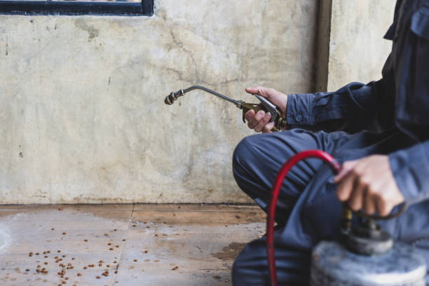 Best Affordable Pest Control Services  in St James, MN
