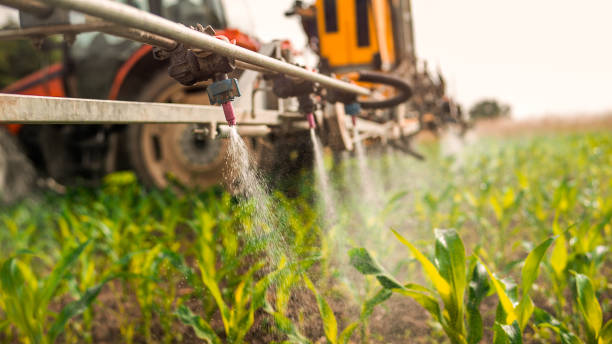 Best Pest Prevention Services  in St James, MN