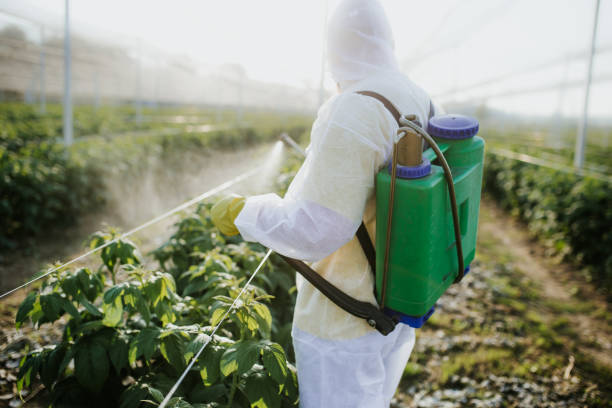 Trusted St James, MN Pest Control Experts